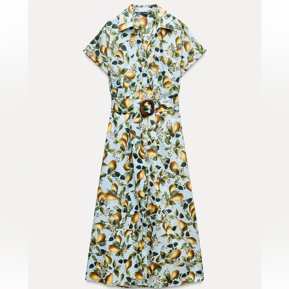 Zara Dresses & Skirts - NWT Zara Fruit Print Midi Dress